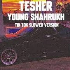 Tesher - YOUNG SHAHRUKH Tik Tok Slowed Version ( I Got 500 Dollars In Cash )