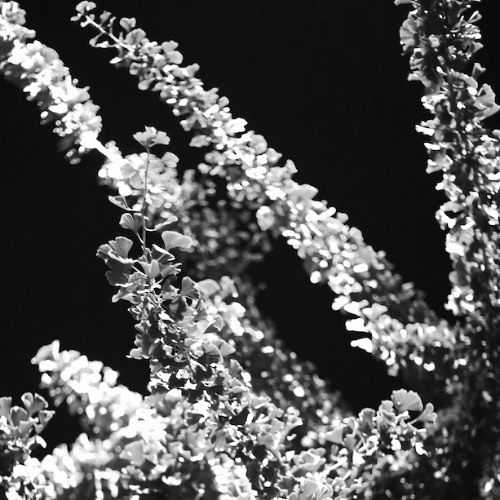 Stream COLAB 2 by Dean Enduro | Listen online for free on SoundCloud