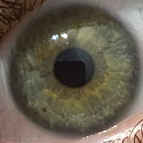 'LMBx3 & Capa - клубок.mp3