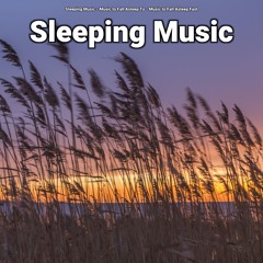 Sleeping Music, Pt. 1
