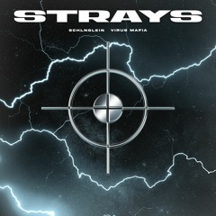 Strays - Virus Mafia & Schlnglein