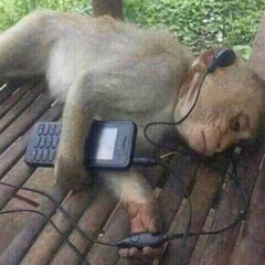 drømmen vi hadde(prod zanady)