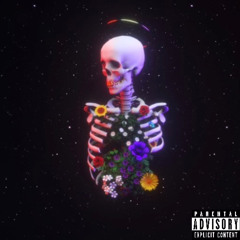 No Friends Ft. TSF NoTalkin