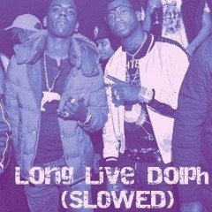 Gucci Mane - Long Live Dolph (SLOWED)