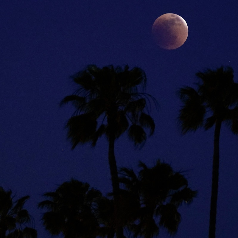 FULL MOON EVENINGS FREESTYLE by 30ROCK