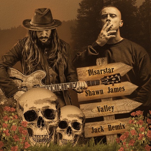 Disarstar feat. Shawn James - Valley Remix 2023