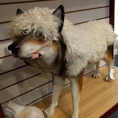 EnerRigiSparen (24.10.2022)