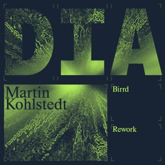 Martin Kohlstedt - DIA (Birrd Remix)
