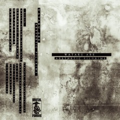 Wataru Abe - Aesthetic Pilgrims EP [Brutal Forms]