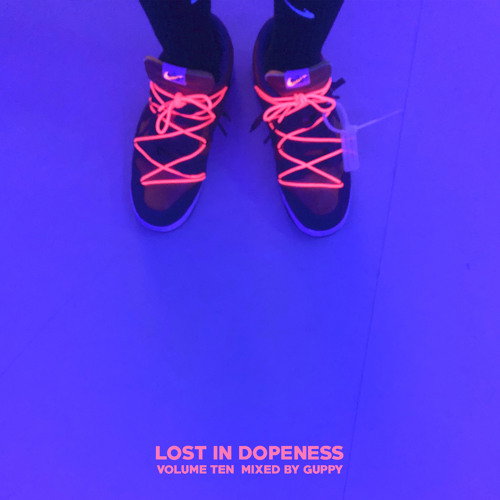 Lost In Dopeness Volume Ten