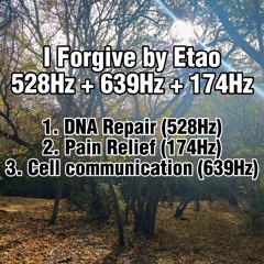 I Forgive 528Hz + 639Hz + 174Hz