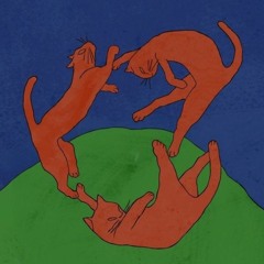 cat-s life