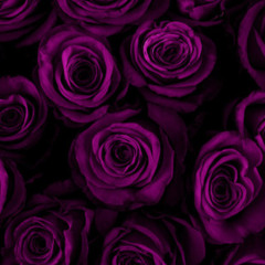 𝖆𝖕𝖕𝖑𝖊 𝖏𝖚𝖎𝖈𝖊