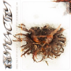 Tentacity 12/21 by Ida Elastic