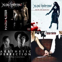 Goth Rave: Aggrotech, Cybergoth, Darkwave, Industrial, Synth