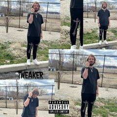 Tweaker PT 2