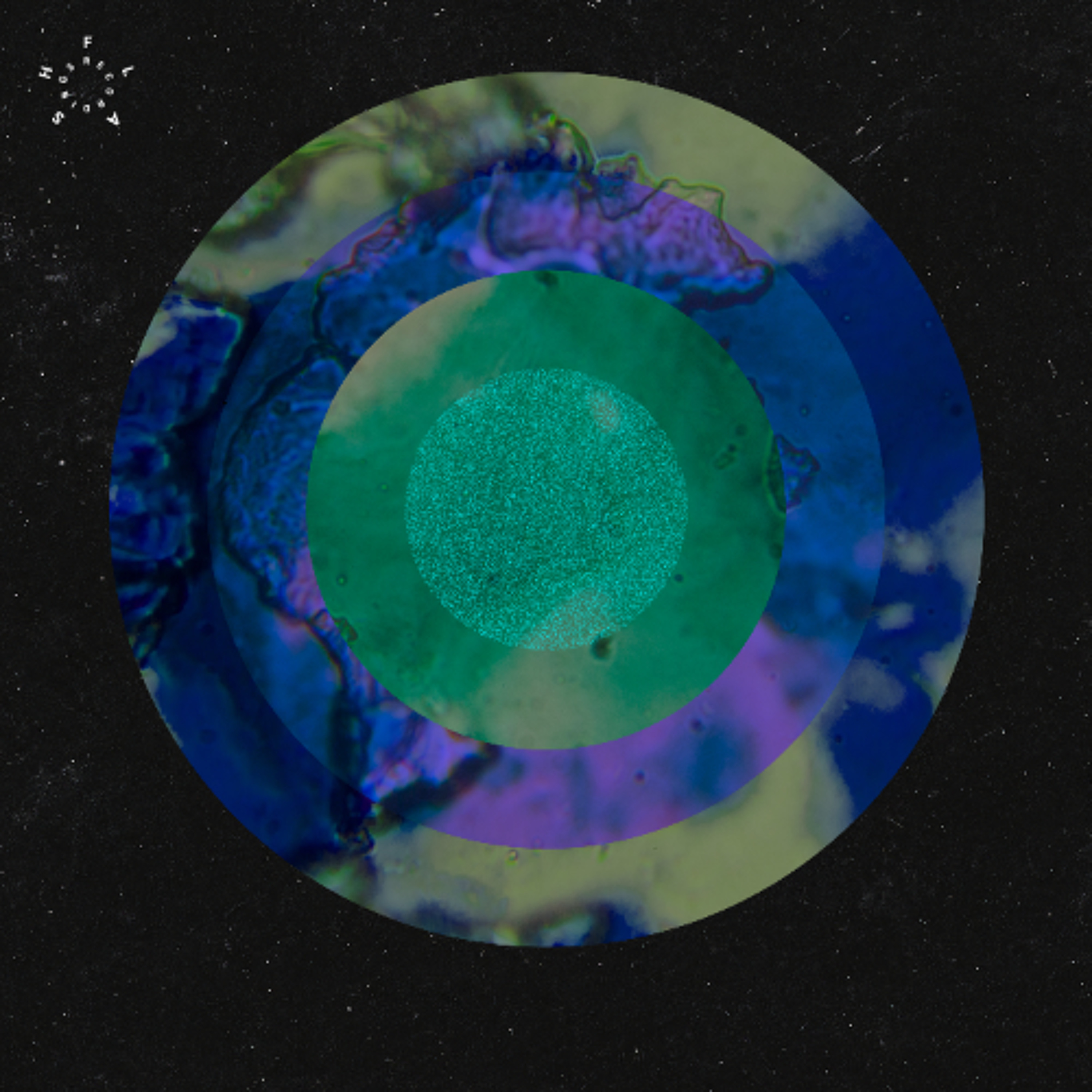 Anml Mthr - Substructure [ FLASH 397 ] episode artwork