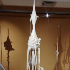 a verdade é um espelho