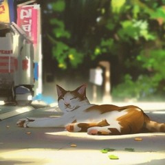 Тёплые коты