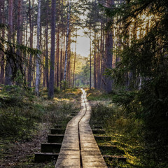 End of the Trail. | made on the Rapchat app (prod. by sixsoundz)