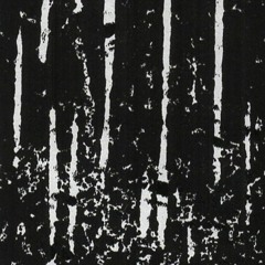 rainy day reflections