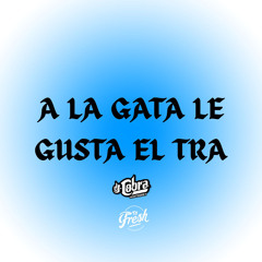 A la gata le gusta el tra