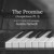 Artwork for The Promise (A N T I T H E S I S presents, Austin Farwell)