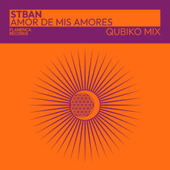 Amor De Mis Amores (Qubiko Mix Radio Edit)