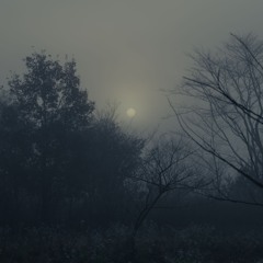 Itoko Toma - Rainy