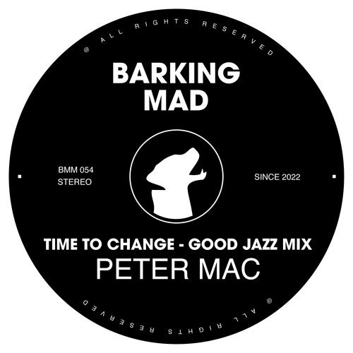 Time to Change-Peter Mac (Good Jazz mix)