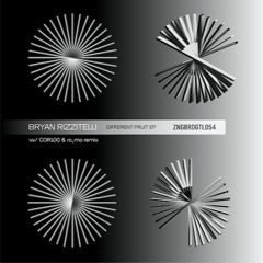 Premiere : Bryan Rizzittelli - Different Fruit (ZNGBRDGTL054)