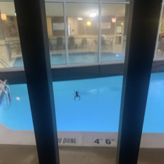 seventhirtyatmorning - i feel safe prod. clayco + m2k (Kursedkane Exclusive)