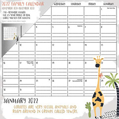 [Access] EBOOK 📪 2022 Animals Magnetic Family Calendar by  Trends International EBOO