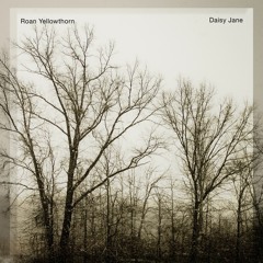 Roan Yellowthorn - Daisy Jane