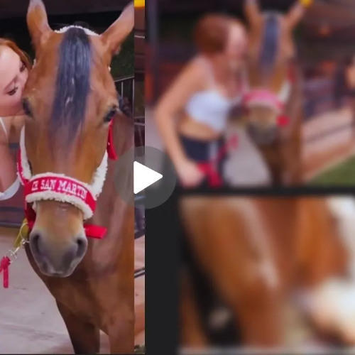 Stream ((( FULL18++ ))) aida victoria merlano horse video twitter aida