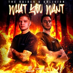 The Raider & Oblivion - What You Want