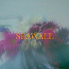 Neev - Seawall (Nxthxun Remix v2)