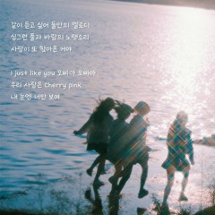 좋은노래Daily Drops