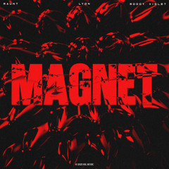 Magnet