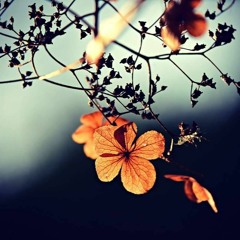 September Mix