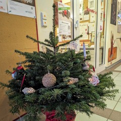 Weihnachtskonzert der Emmerich-Smola-Musikschule und Musikakademie 2024