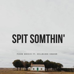 Spit Somthin' Ft. Cellblock Shakur