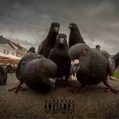 COREY_VICE X DONJAY- BUURDS