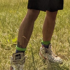 Grass