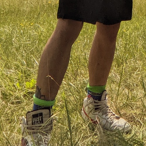 Grass