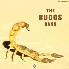 Budos Rising
