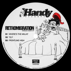 PREMIERE: Retromigration - T.E.F [Handy Records]