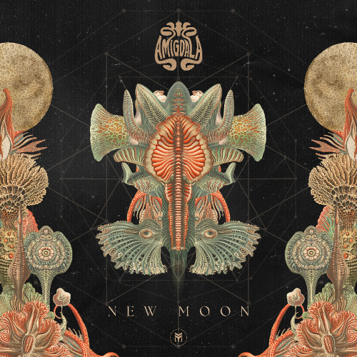 Amigdala - New Moon