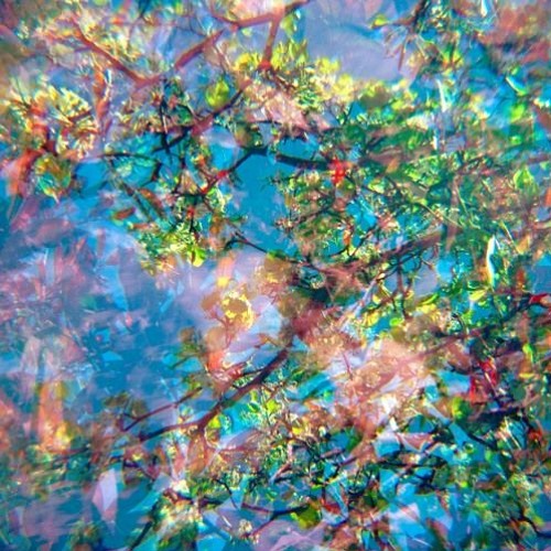 PREMIERE : David Douglas - Don't Bother Losing