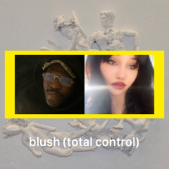blush (total control) ft. skycrime
